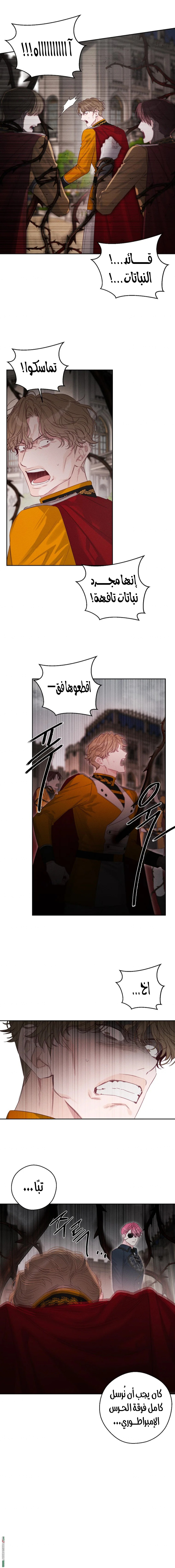 Read First Let’s Hide My Younger Brother AR Manga Online