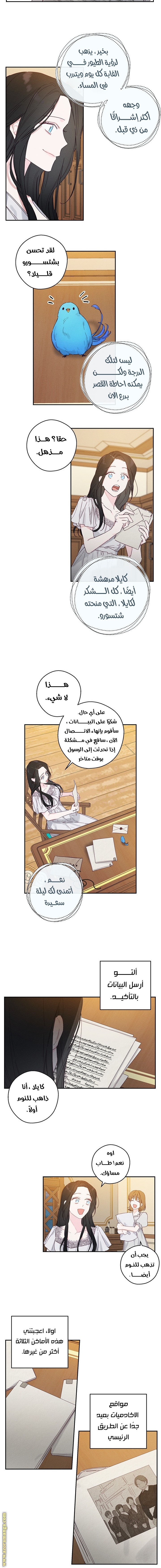 Read First Let’s Hide My Younger Brother AR Manga Online