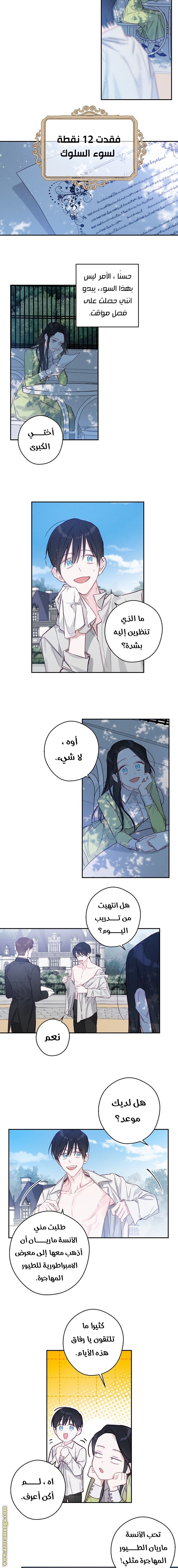 Read First Let’s Hide My Younger Brother AR Manga Online