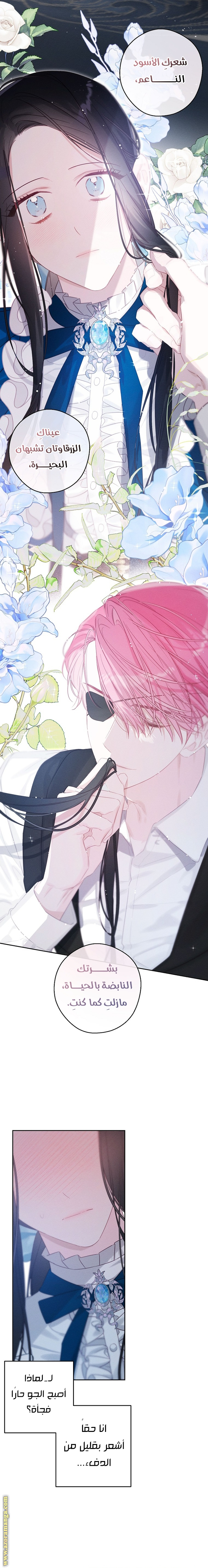 Read First Let’s Hide My Younger Brother AR Manga Online