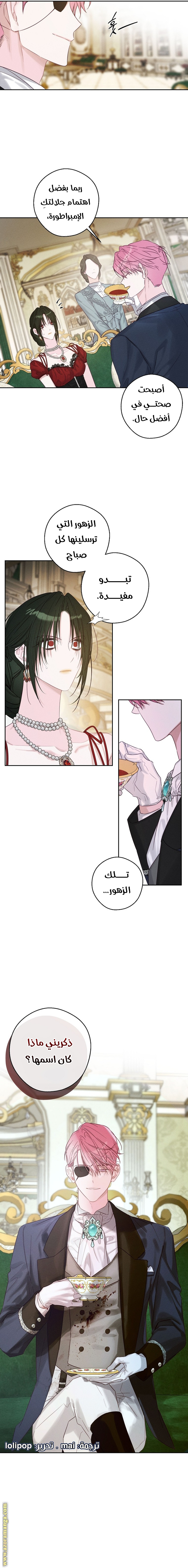 Read First Let’s Hide My Younger Brother AR Manga Online