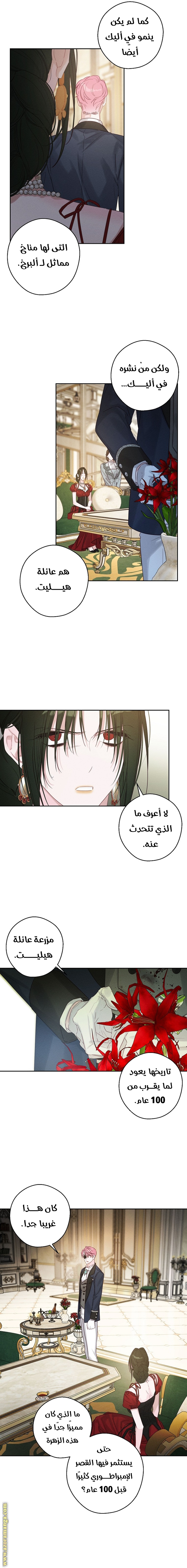 Read First Let’s Hide My Younger Brother AR Manga Online