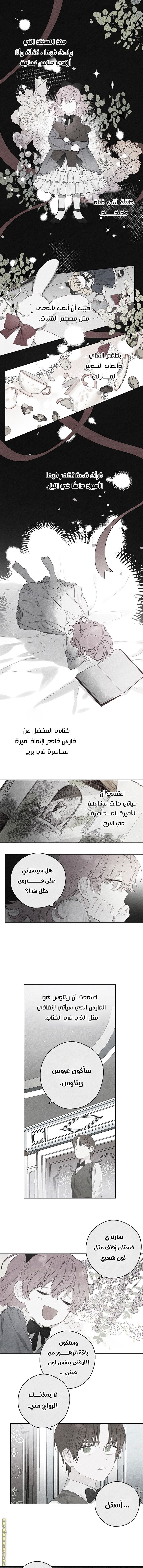 Read First Let’s Hide My Younger Brother AR Manga Online