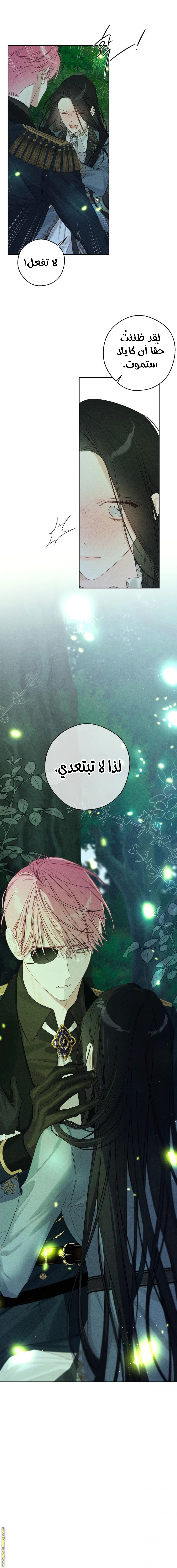 Read First Let’s Hide My Younger Brother AR Manga Online