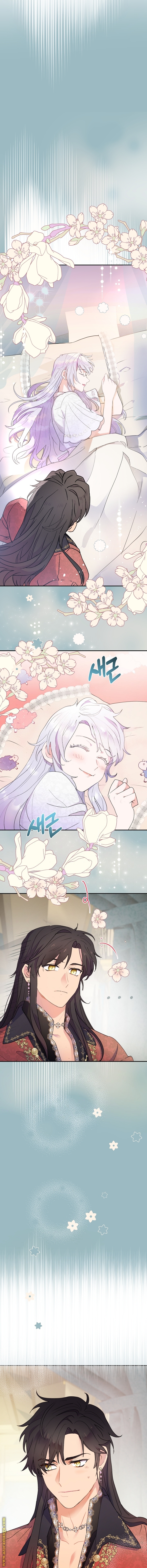 Read Forget My Husband I’ll Go Make Money AR Manga Online