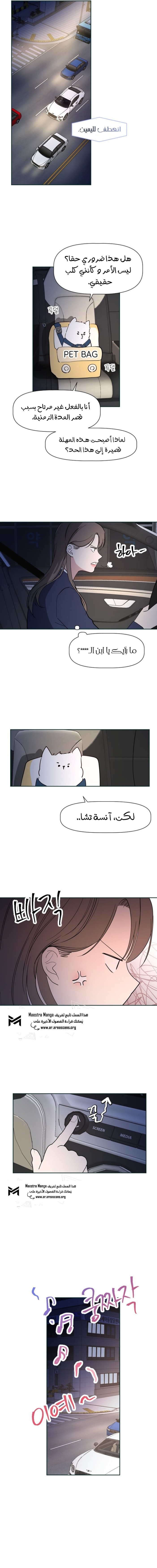 Read How to Hold X’s Leash AR Manga Online