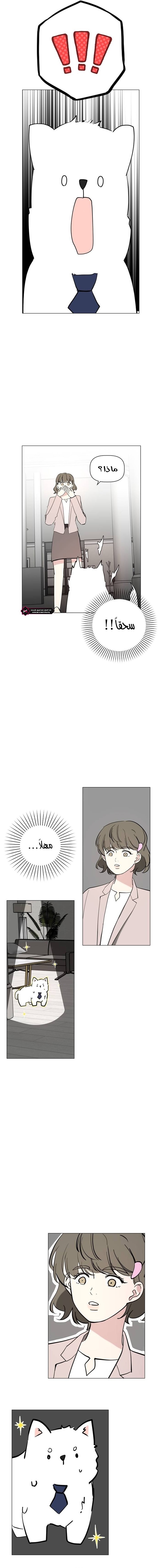 Read How to Hold X’s Leash AR Manga Online