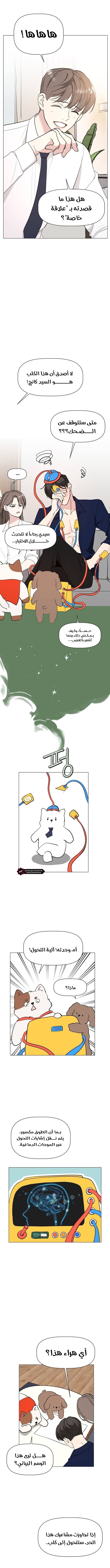 Read How to Hold X’s Leash AR Manga Online