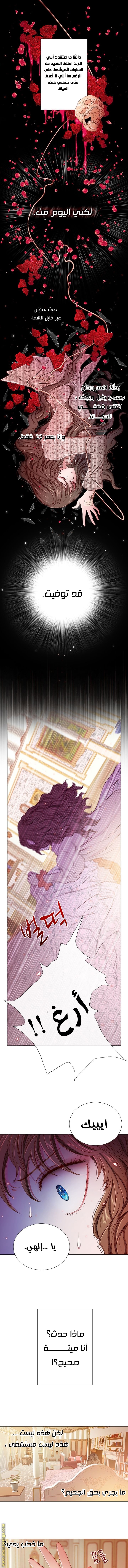 Read I Became The Ugly Princess AR Manga Online