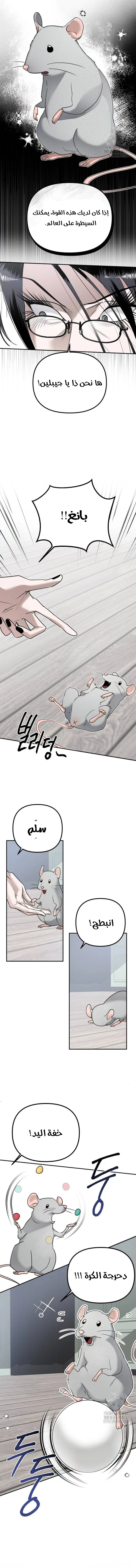 Read Ki Sisters AR Manga Online