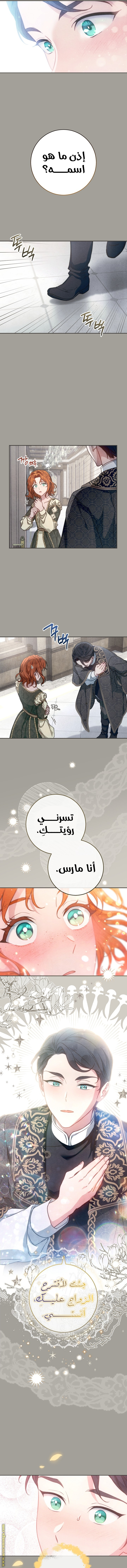 Read Marriage of Convenience AR Manga Online