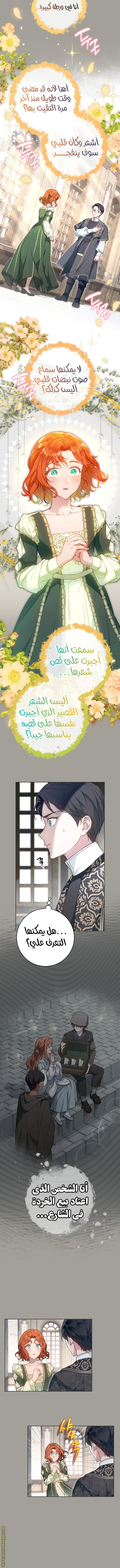 Read Marriage of Convenience AR Manga Online