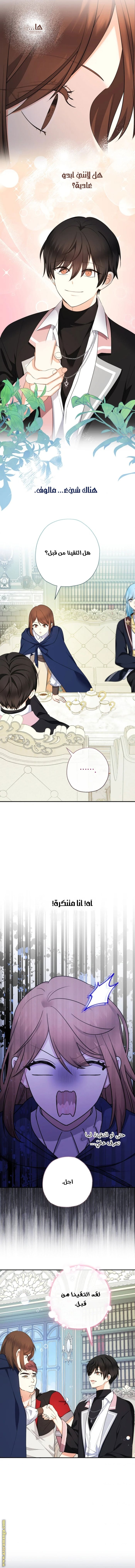 Read Surviving a Shoujo With Coins AR Manga Online