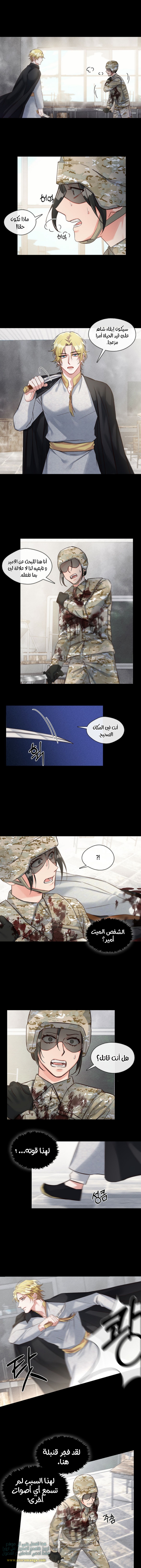 Read dictatorship AR Manga Online