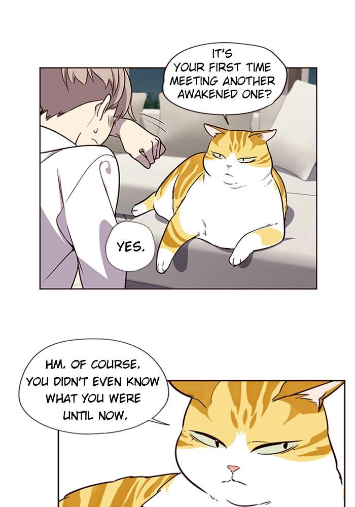 Read Eleceed Manga Online