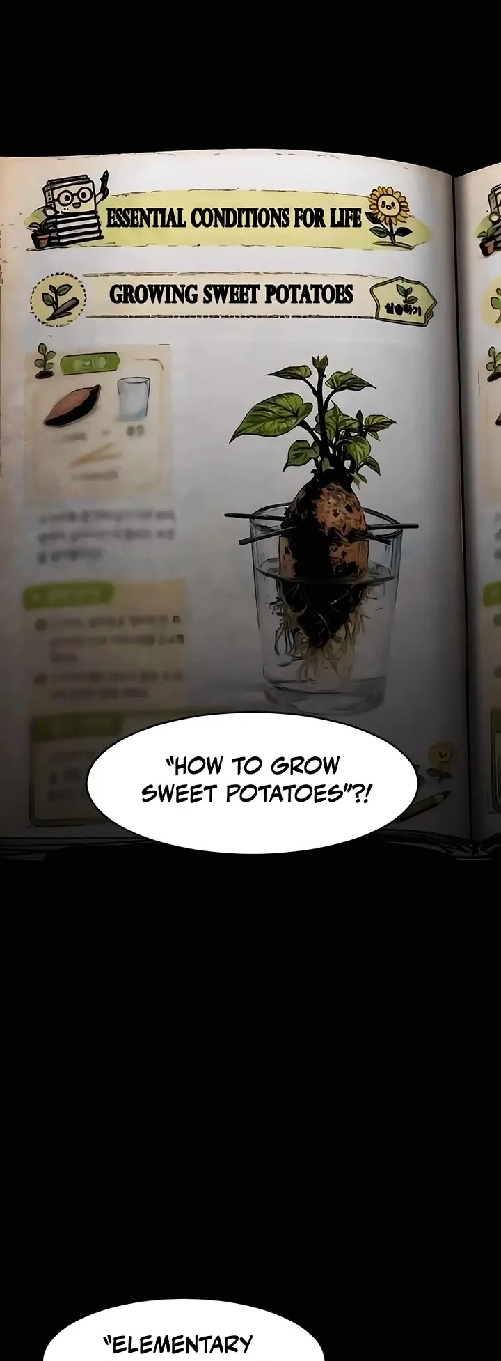 Read Fog Land Manga Online