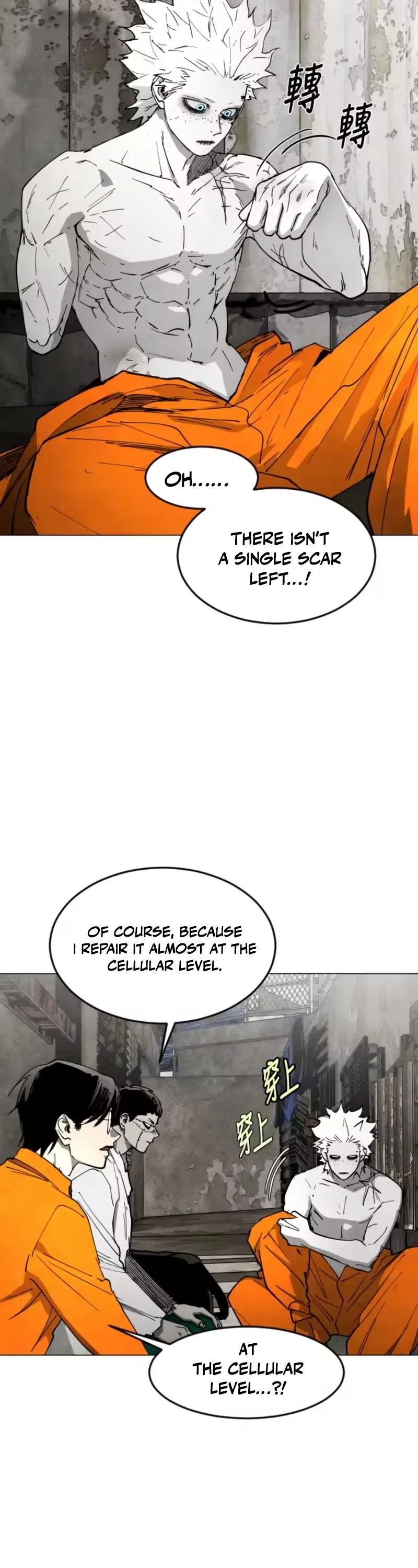 Read Fog Land Manga Online