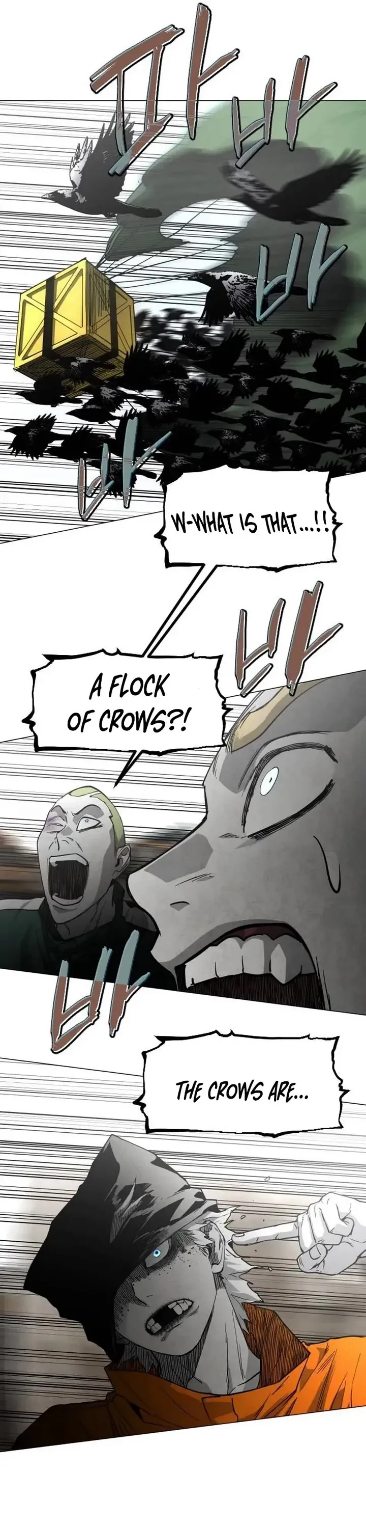 Read Fog Land Manga Online