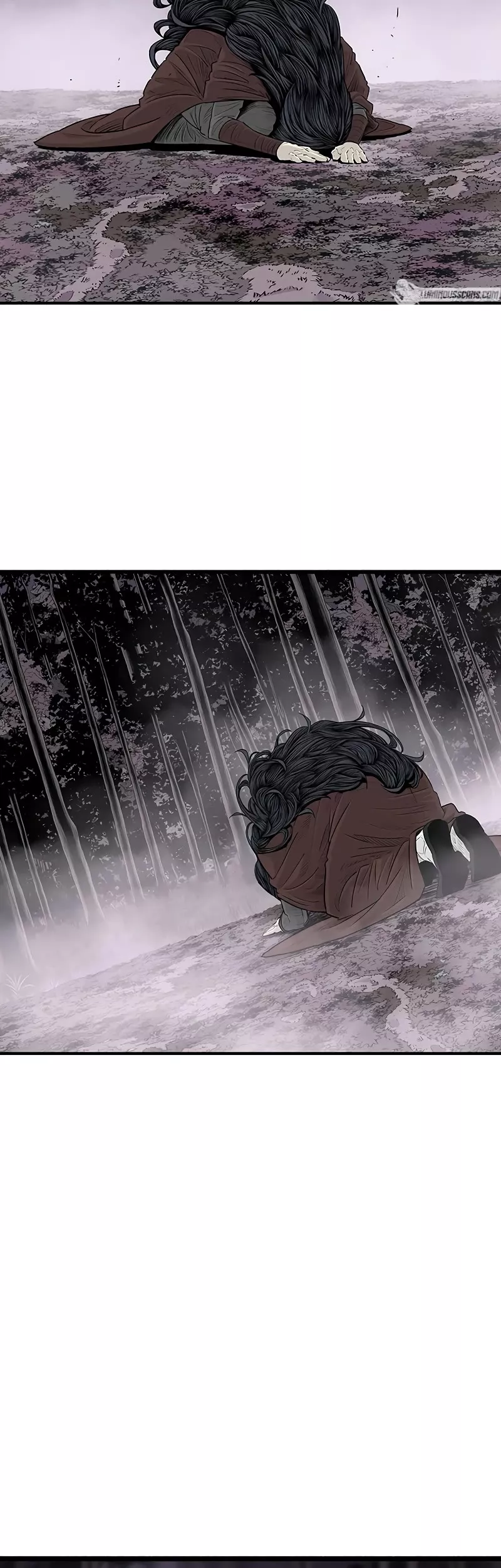 Read Legend of the Northern Blade Manga Online