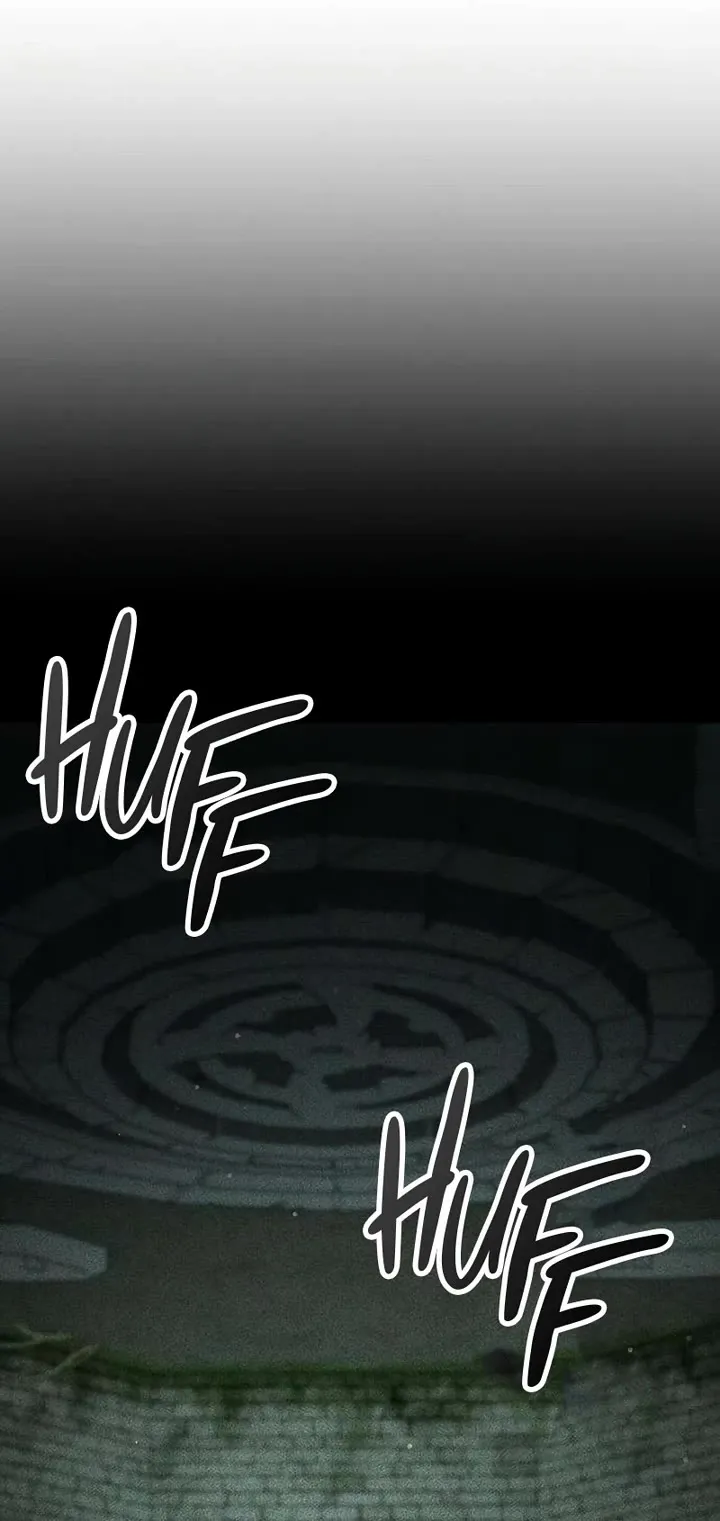 Read Noble Lady Reformation Guide Manga Online