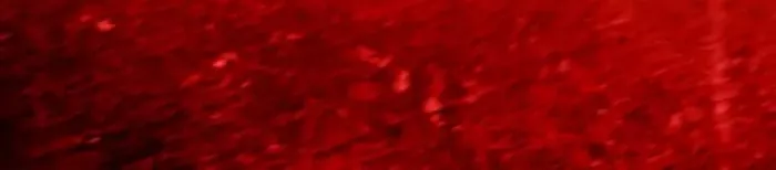 Read Revenge of the Sword Clan’s Hound Manga Online