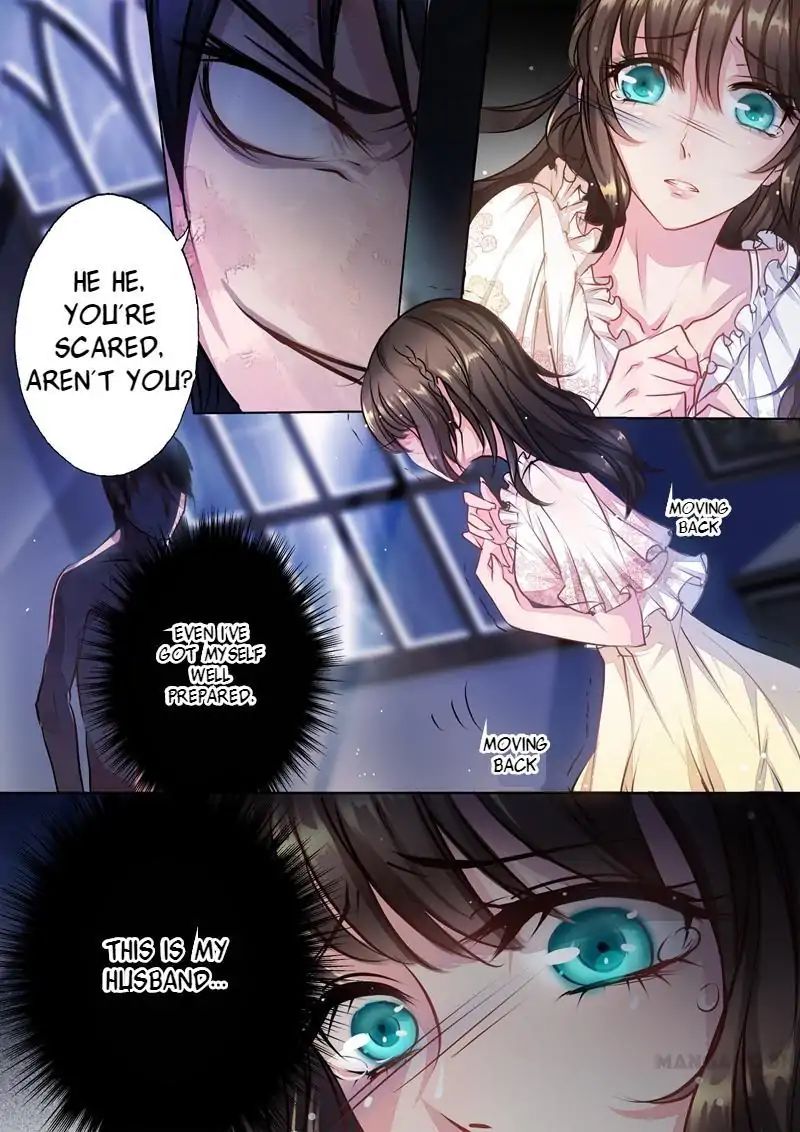 Read Warm Wedding Manga Online