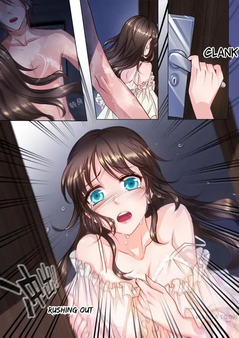 Read Warm Wedding Manga Online