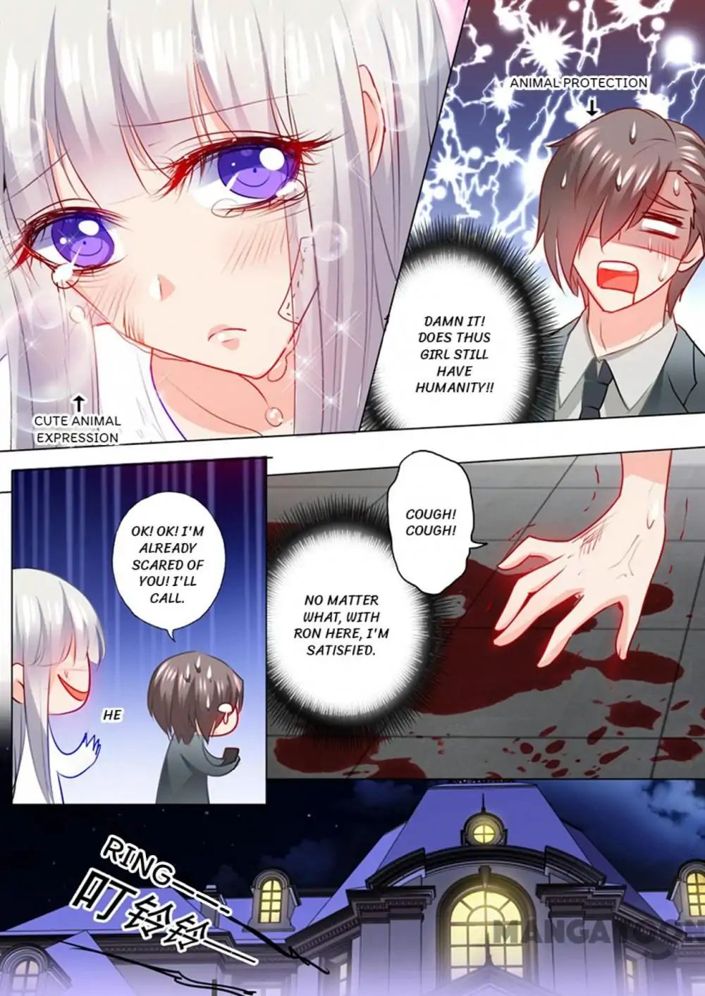 Read Warm Wedding Manga Online