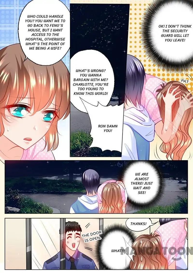 Read Warm Wedding Manga Online