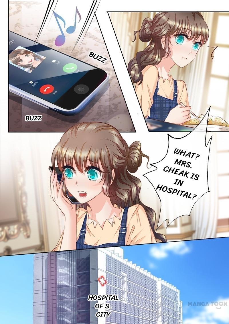 Read Warm Wedding Manga Online