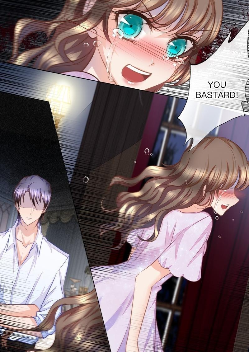 Read Warm Wedding Manga Online