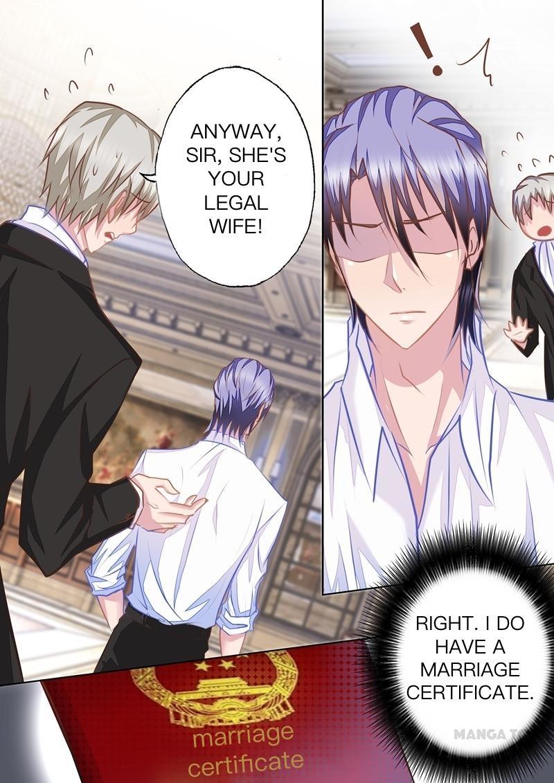 Read Warm Wedding Manga Online