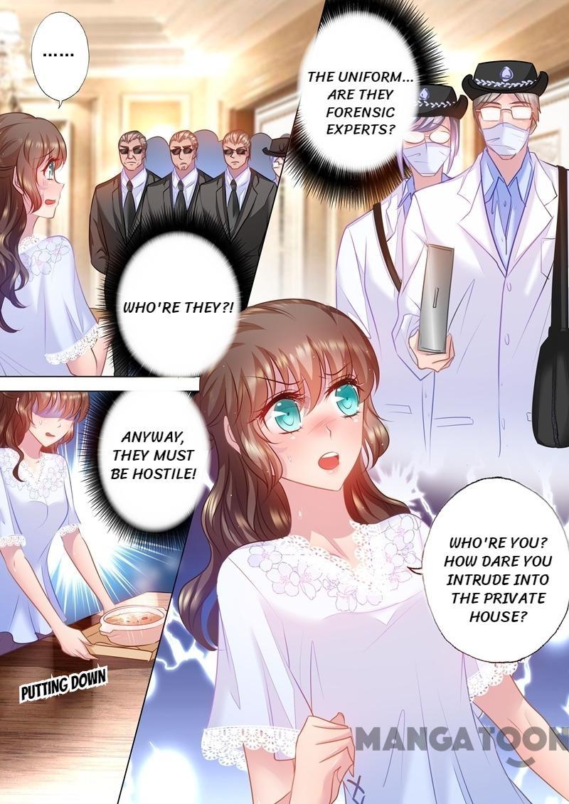 Read Warm Wedding Manga Online