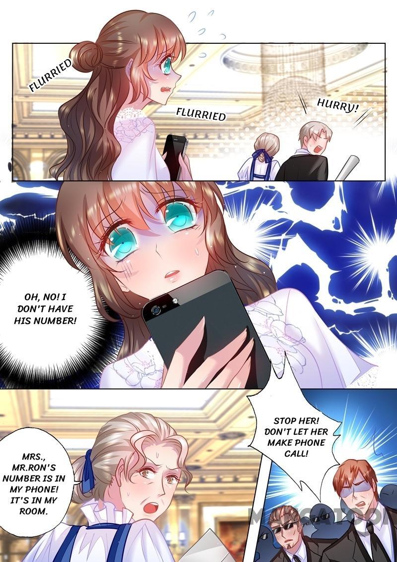 Read Warm Wedding Manga Online