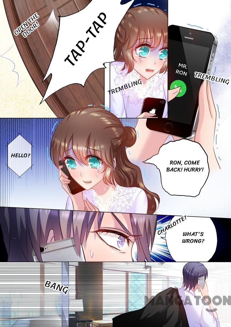 Read Warm Wedding Manga Online