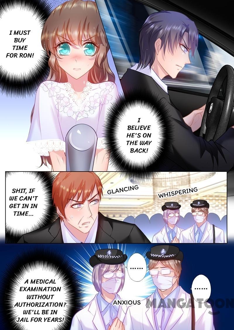 Read Warm Wedding Manga Online