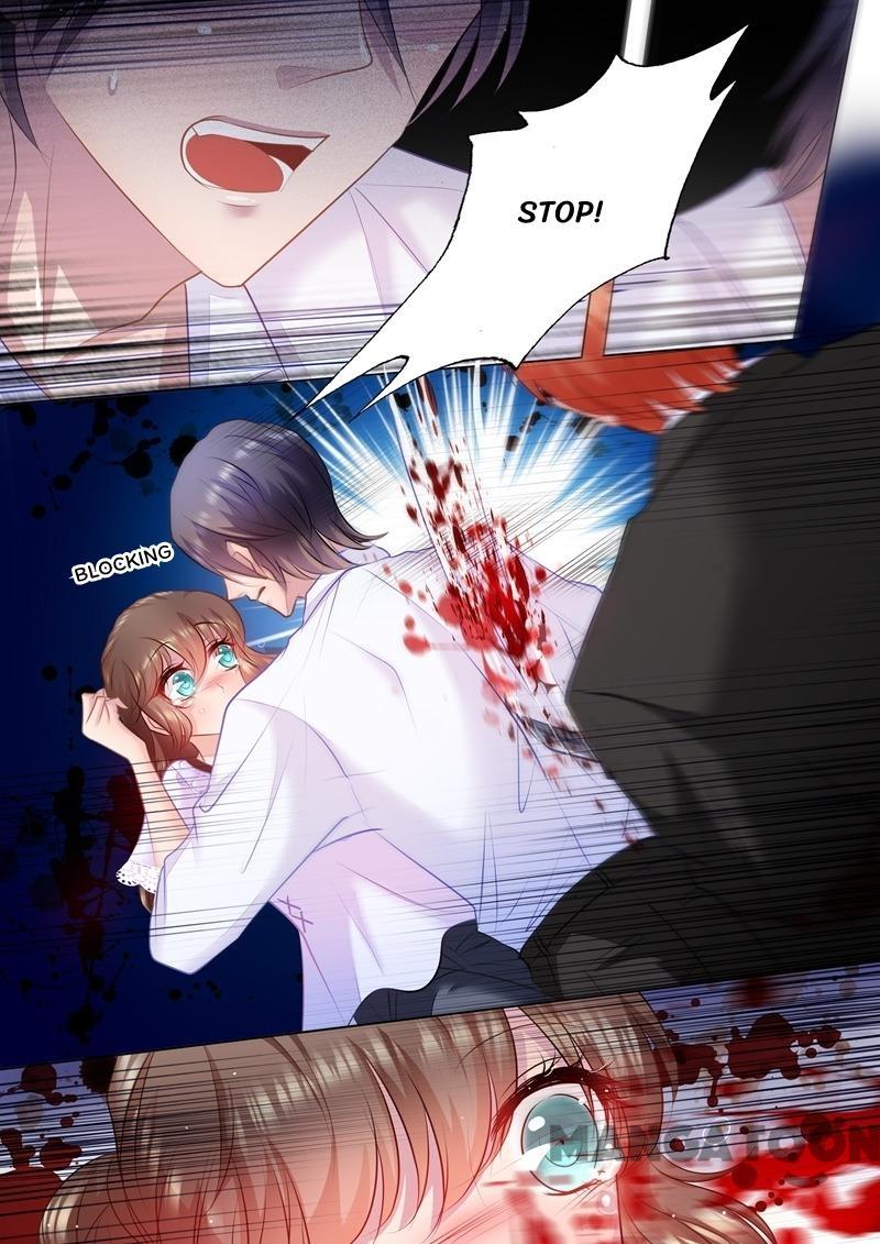 Read Warm Wedding Manga Online