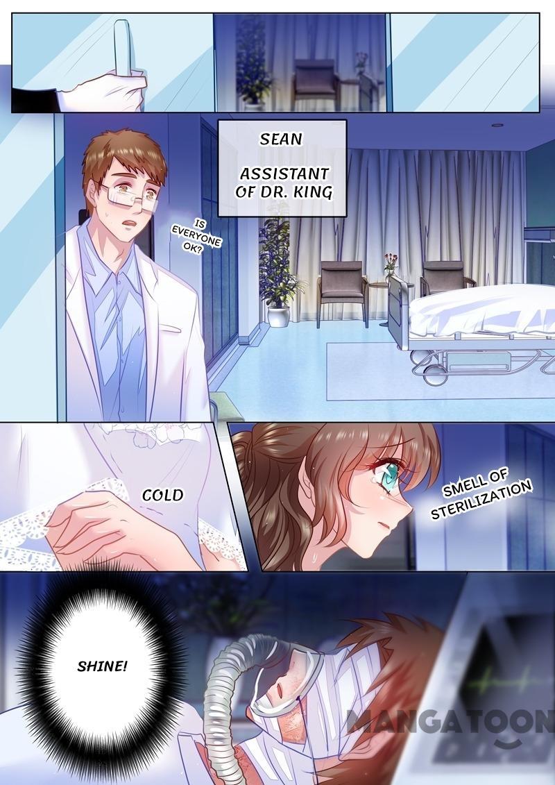 Read Warm Wedding Manga Online