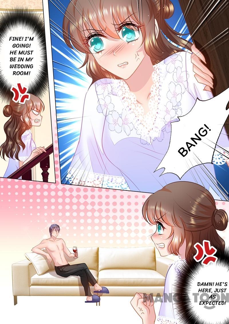Read Warm Wedding Manga Online