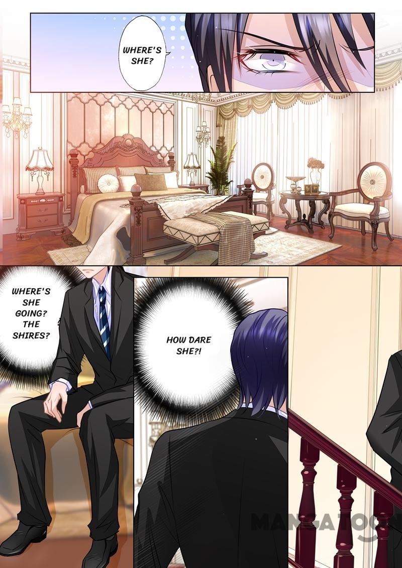 Read Warm Wedding Manga Online