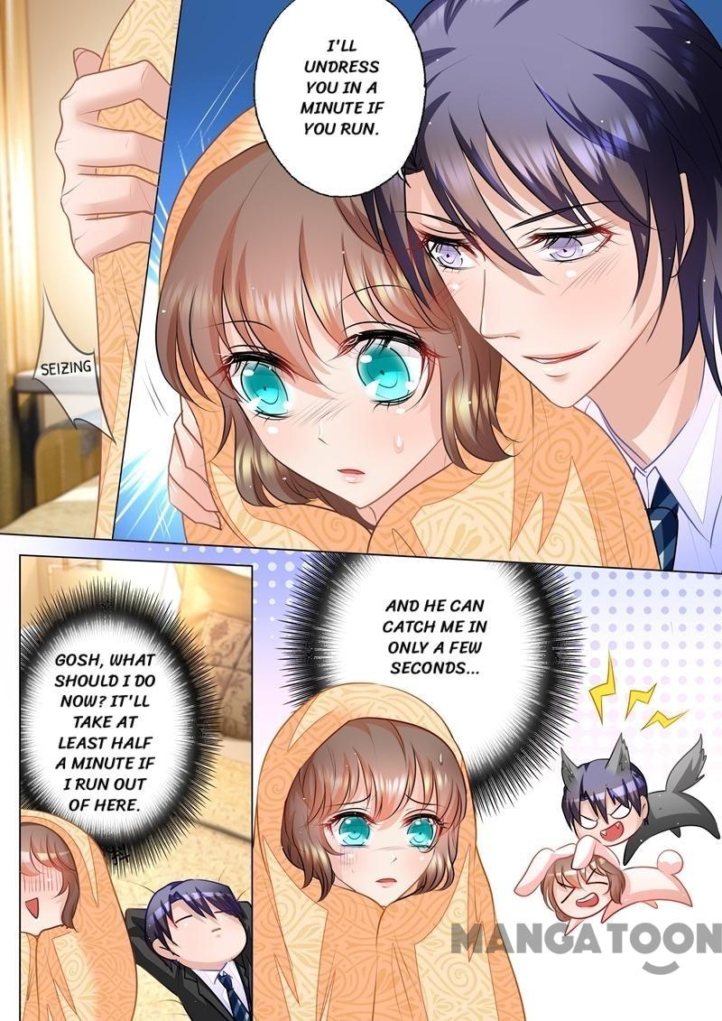 Read Warm Wedding Manga Online