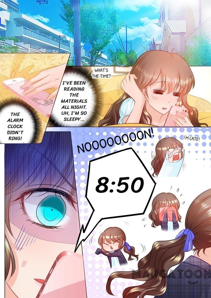 Read Warm Wedding Manga Online