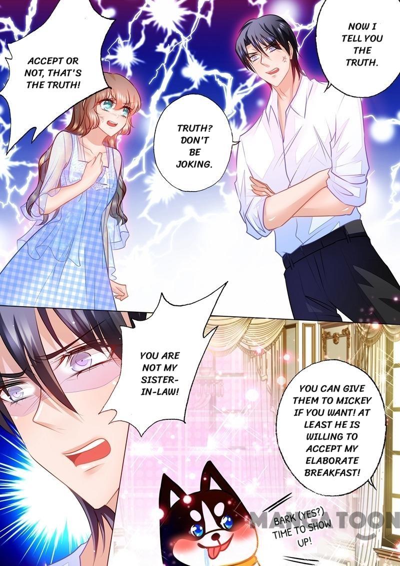 Read Warm Wedding Manga Online