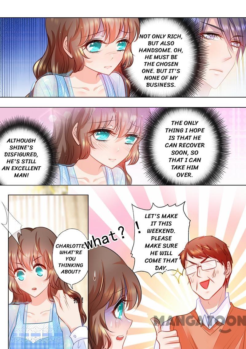 Read Warm Wedding Manga Online