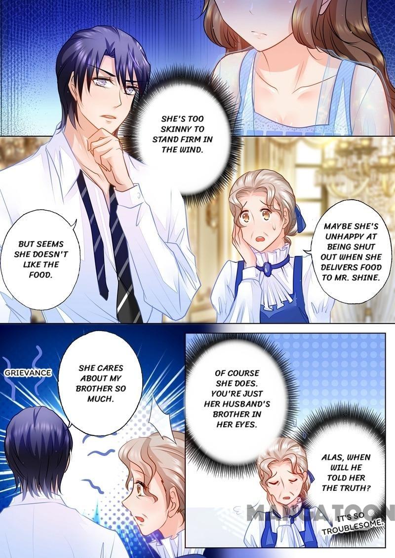 Read Warm Wedding Manga Online