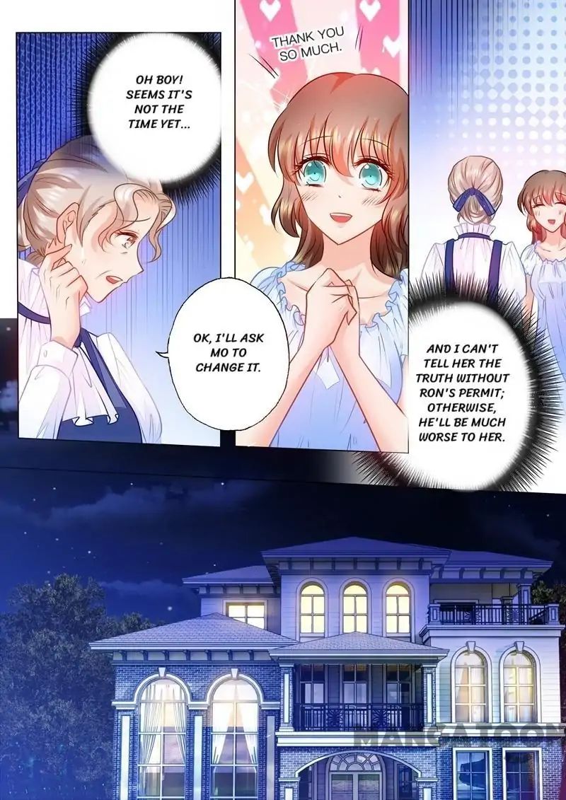 Read Warm Wedding Manga Online