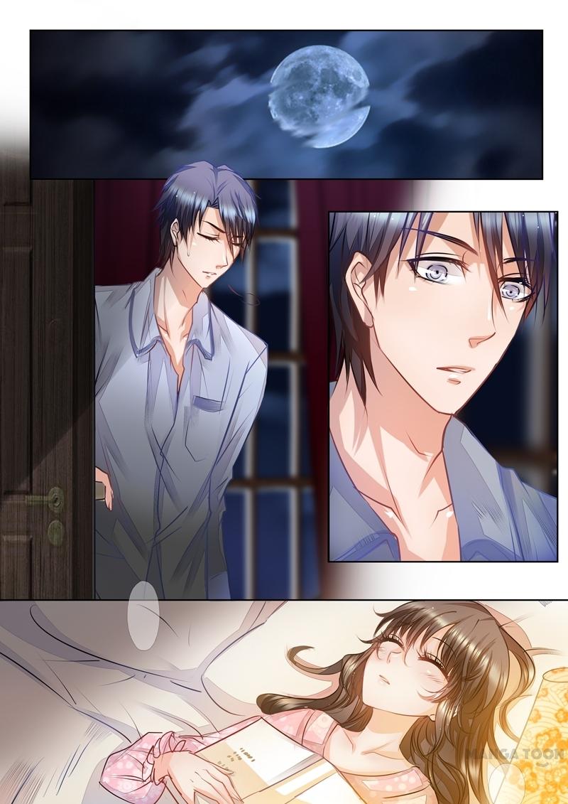 Read Warm Wedding Manga Online