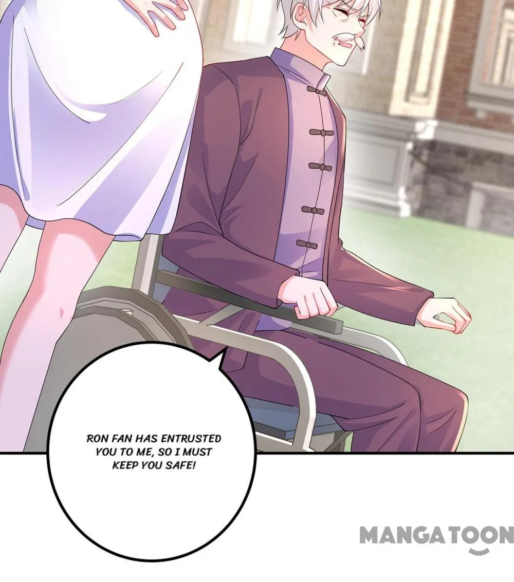 Read Warm Wedding Manga Online
