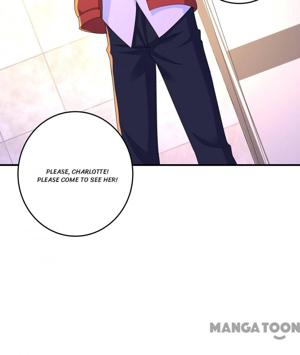 Read Warm Wedding Manga Online