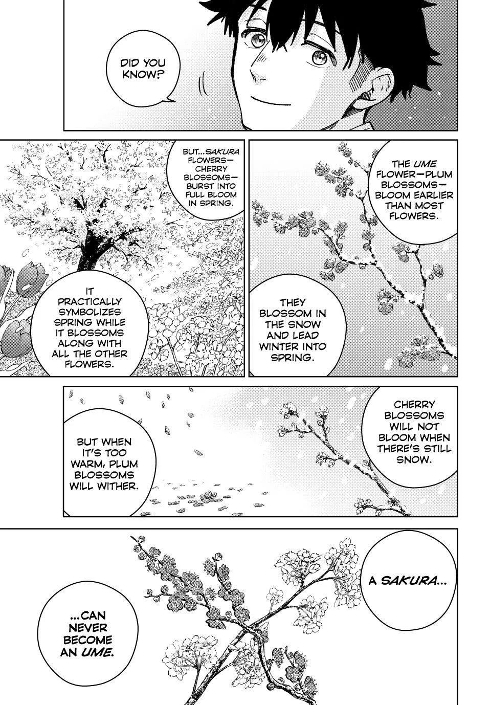 Read Wind Breaker (NII Satoru) Manga Online